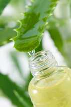 Aloe Vera-Gel zur Hautpflege Hochwertiges Aloe Vera-Gel